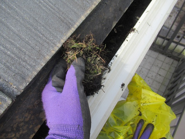 山中湖村　雨樋清掃